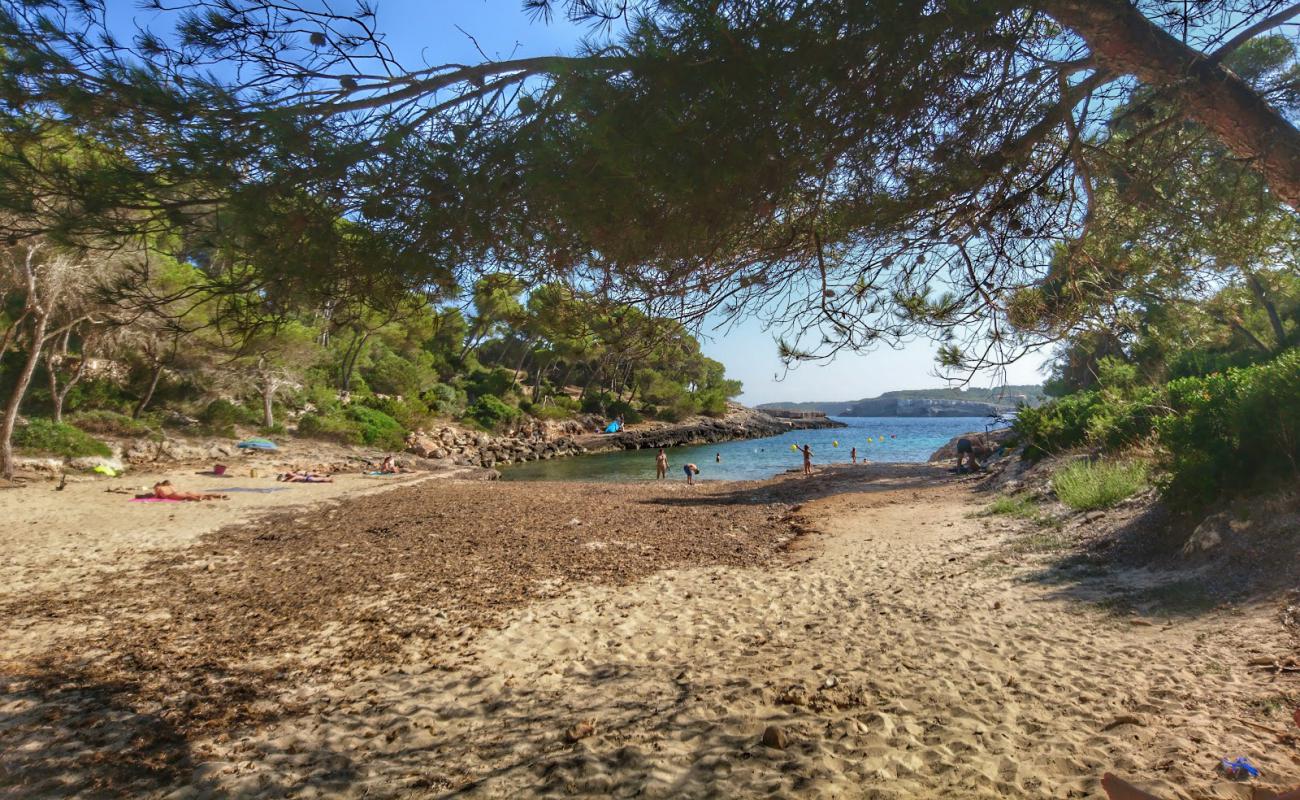 Photo de Cala Barca avec sable beige & pierres de surface