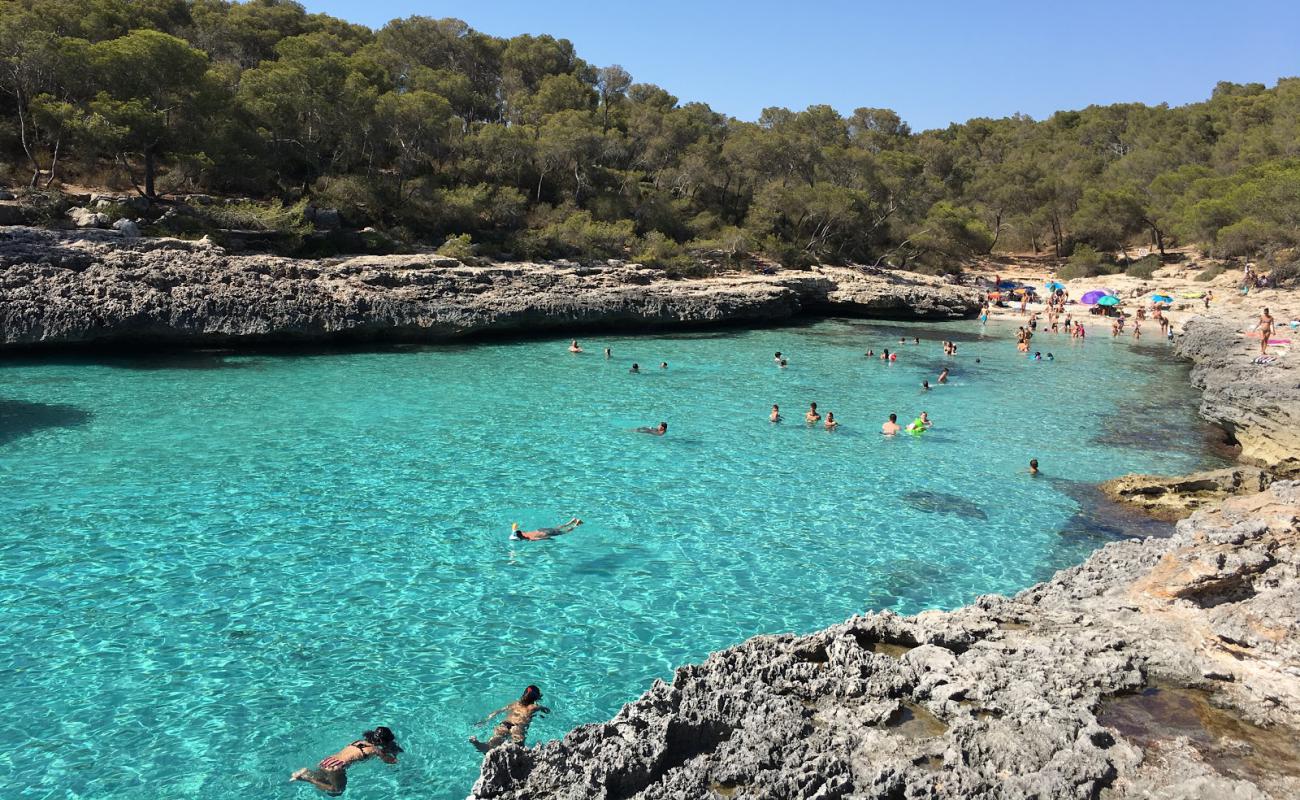 Photo de Calo des Borgit avec sable beige fin de surface