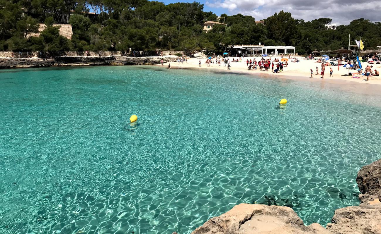 Photo de Plage de Cala Mondrago avec sable fin et lumineux de surface