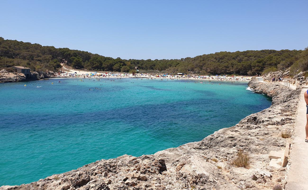 Photo de Plage S'Amarador avec sable beige fin de surface
