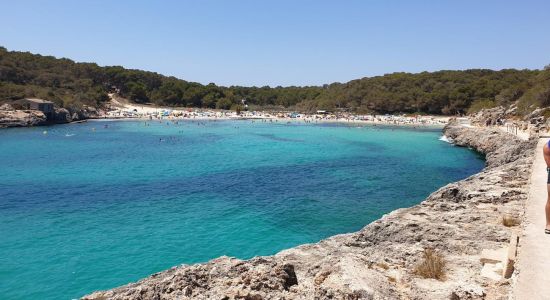 Plage S'Amarador