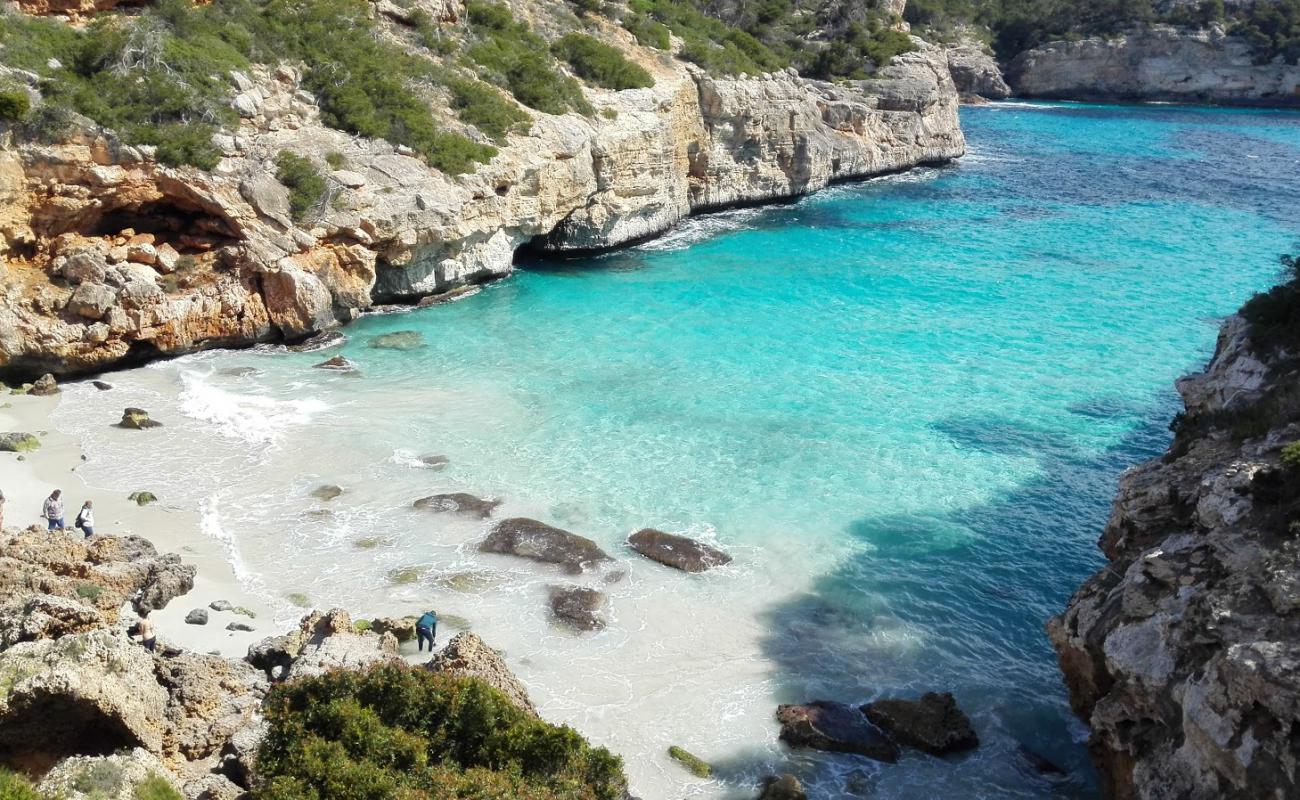 Photo de Plage de Calo del Moro avec sable fin et lumineux de surface