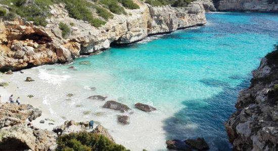 Plage de Calo del Moro