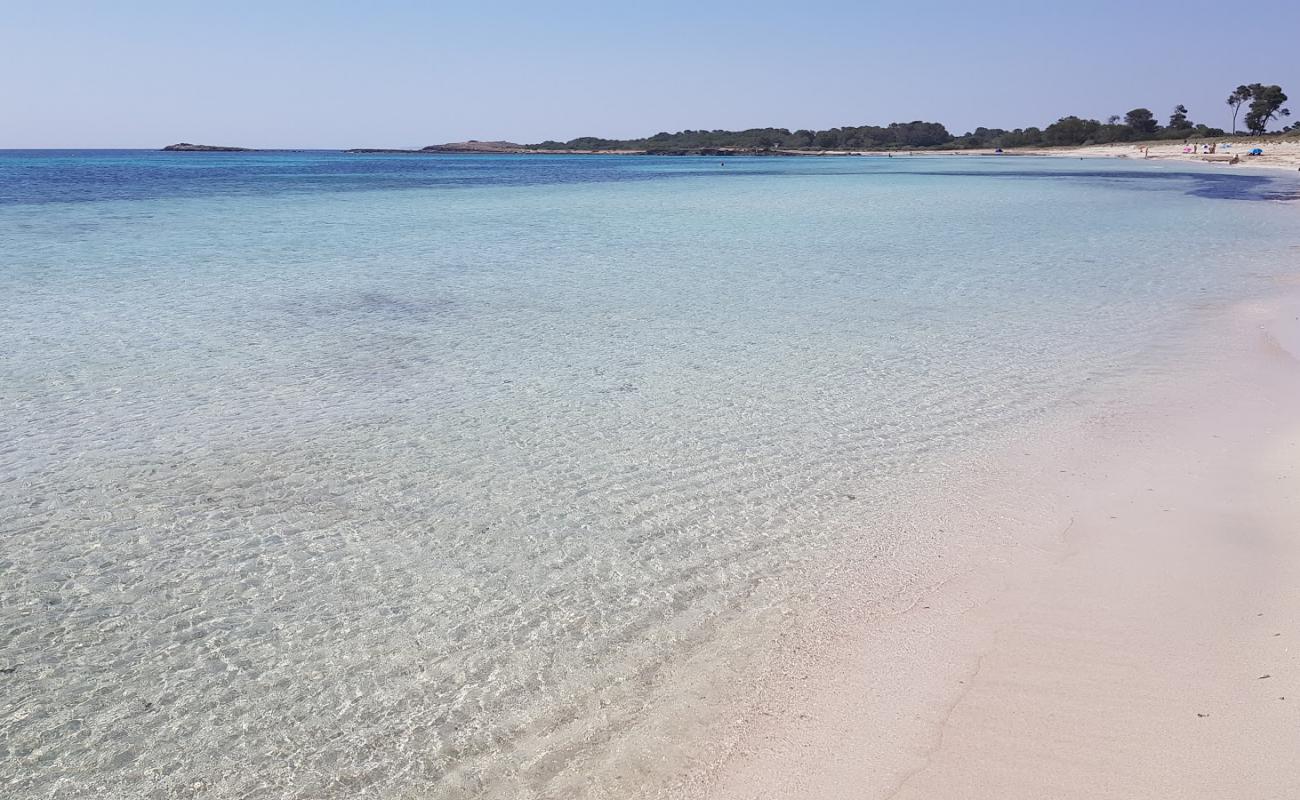 Photo de El Caragol avec sable fin et lumineux de surface