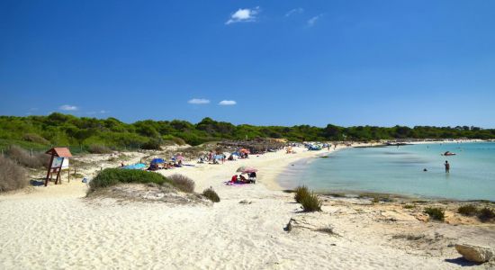 Plage de Dolc