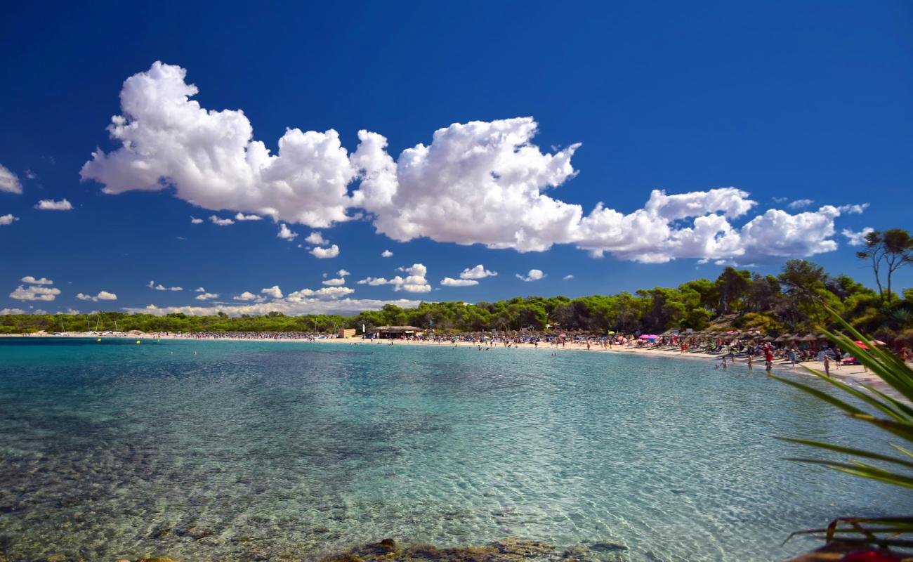 Photo de Plage de Moli de s'Estany avec sable beige fin de surface