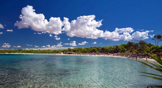 Plage de Moli de s'Estany