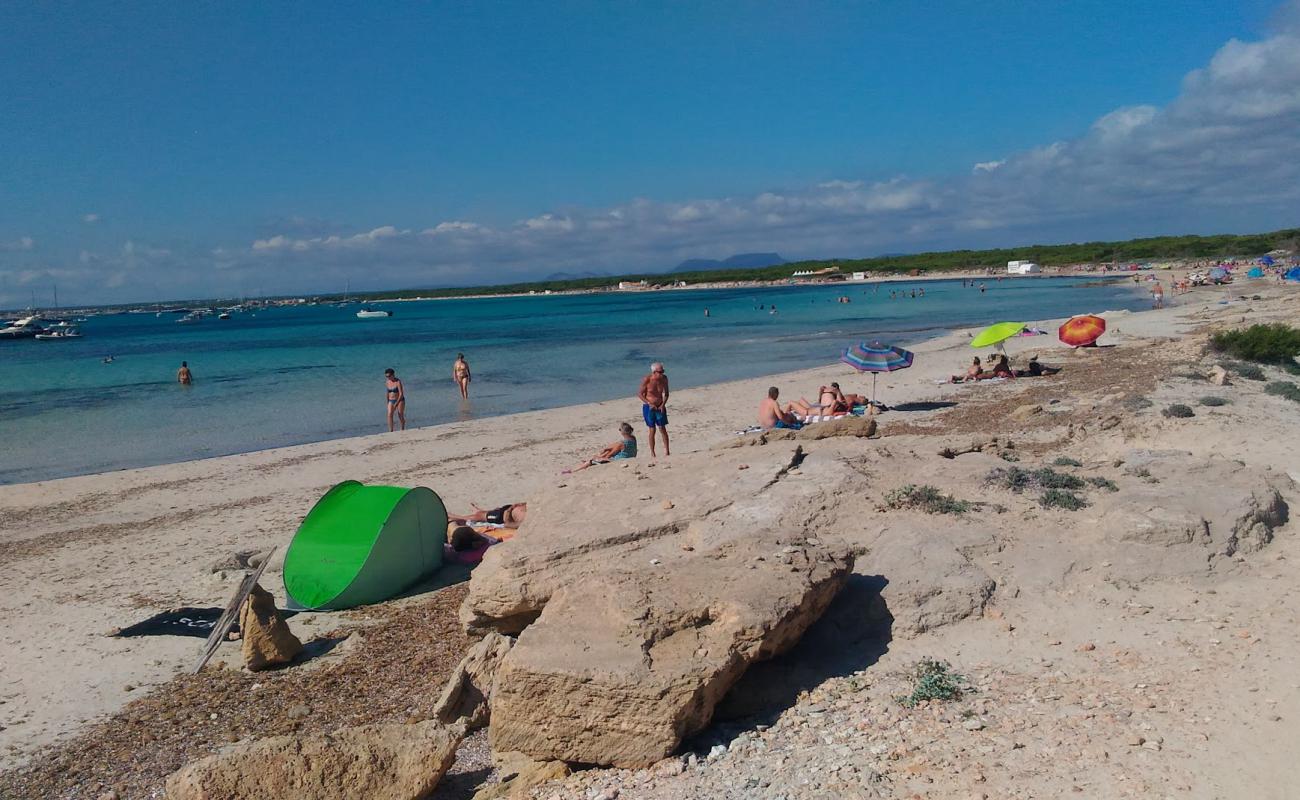 Photo de Platja des Peregons avec sable beige fin de surface