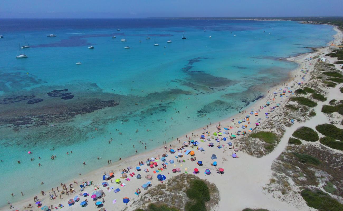 Photo de Platja Des Trenc avec sable fin blanc de surface