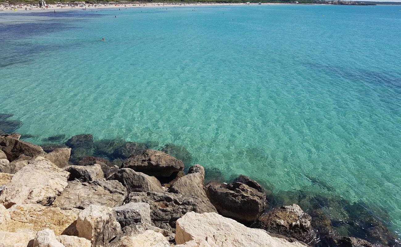 Photo de Ses Covetes avec sable fin blanc de surface