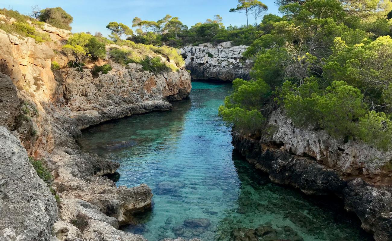 Photo de Cala Beltran avec roches de surface