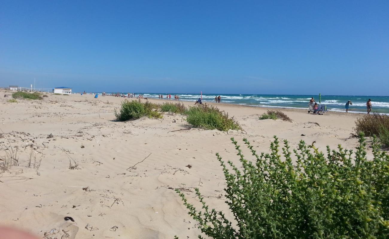 Photo de Platja les Ortigues avec sable brun de surface