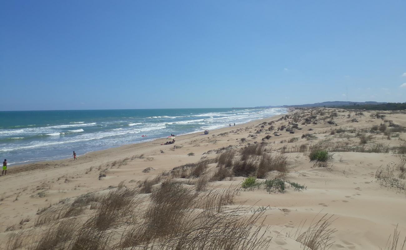 Photo de Playa de El Pinet avec sable brun de surface