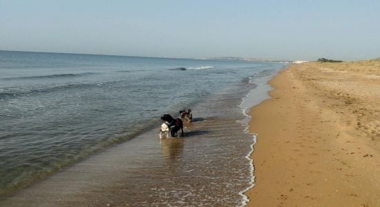 Playa del Pinet