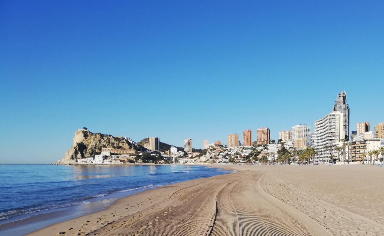 Photo de Playa de Poniente avec sable beige de surface