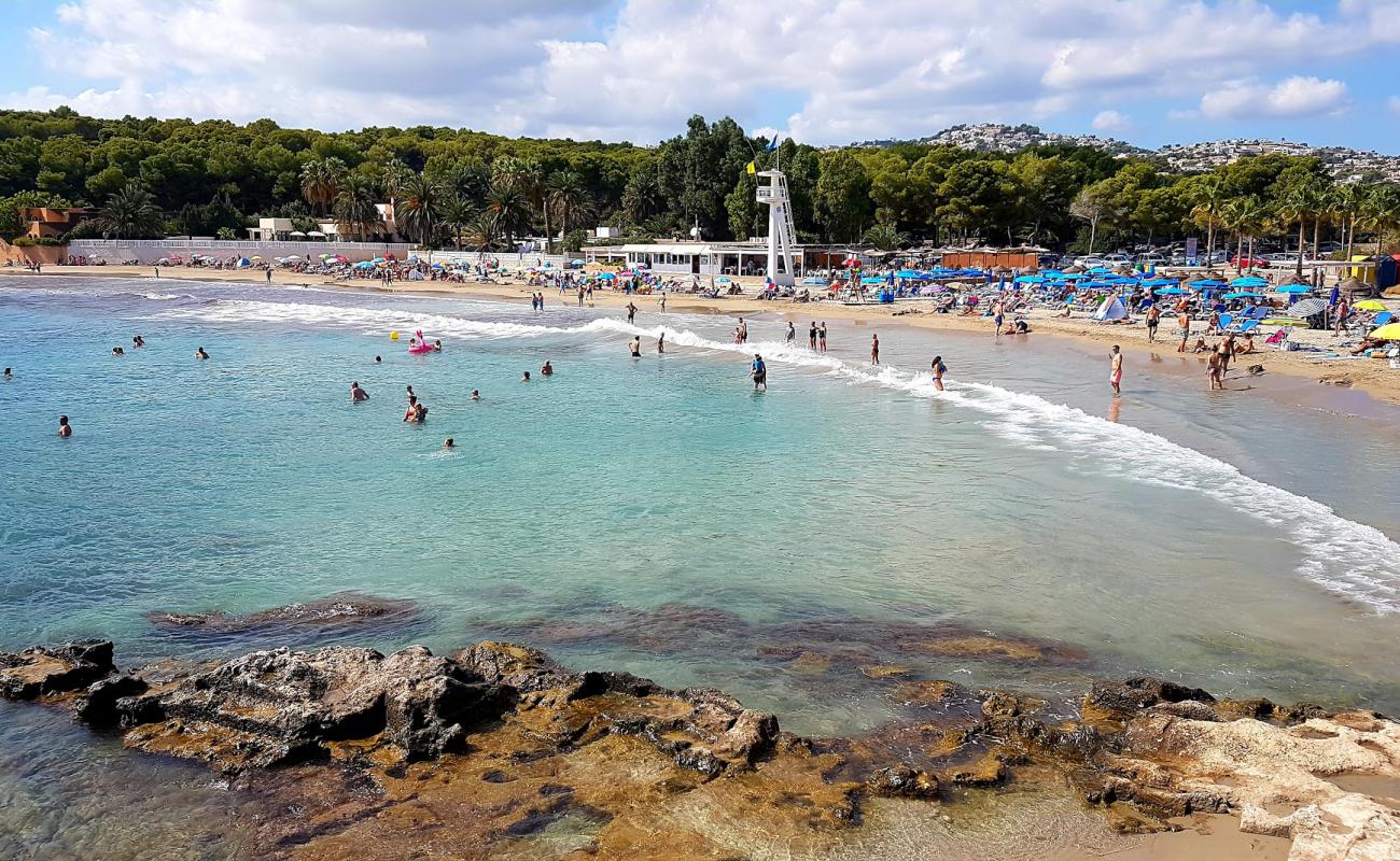 Photo de Platja de l'Ampolla avec sable brun de surface