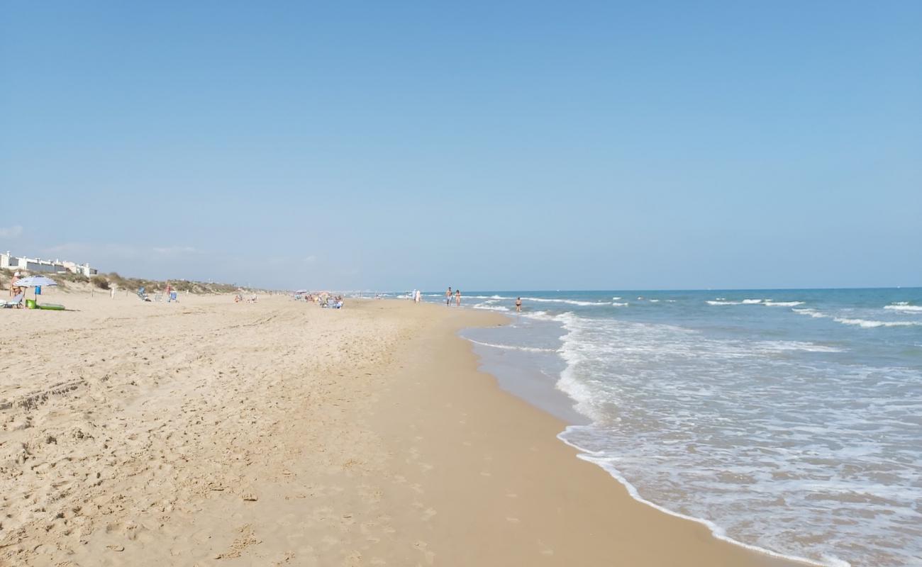 Photo de Platja la devesa avec sable brun de surface