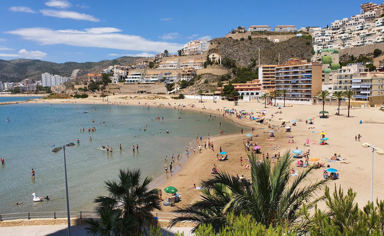 Photo de Playa de los Olivos avec sable brun de surface