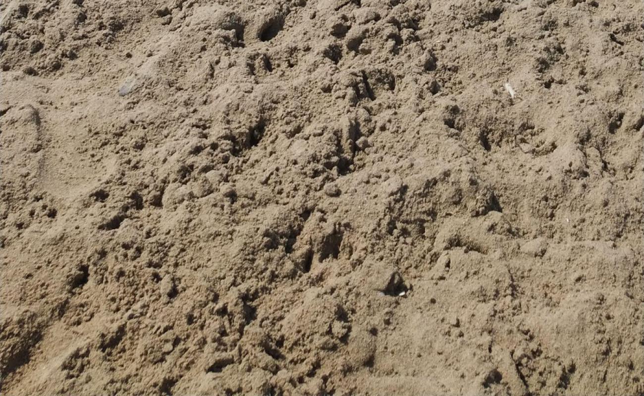 Photo de Playa de Canet avec sable brun de surface