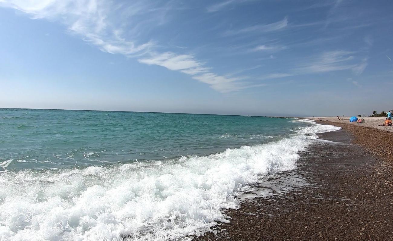 Photo de Moncofar Naturista avec caillou fin gris de surface