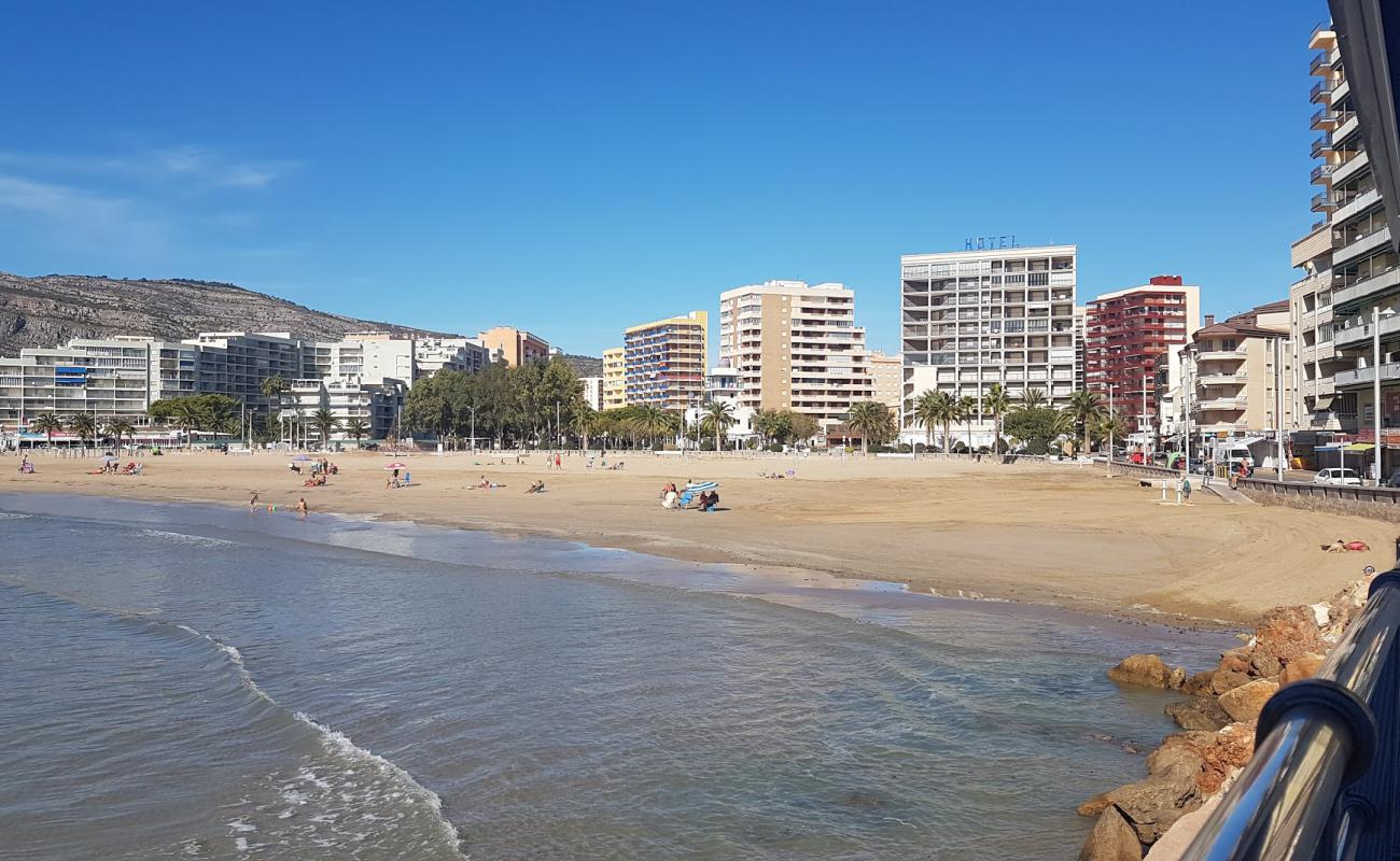 Photo de Playa de la Concha avec sable brun de surface