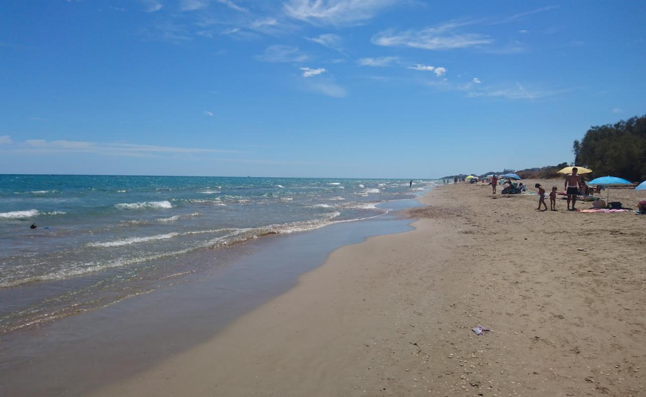 Photo de Playa de Torrenostra avec sable brun de surface