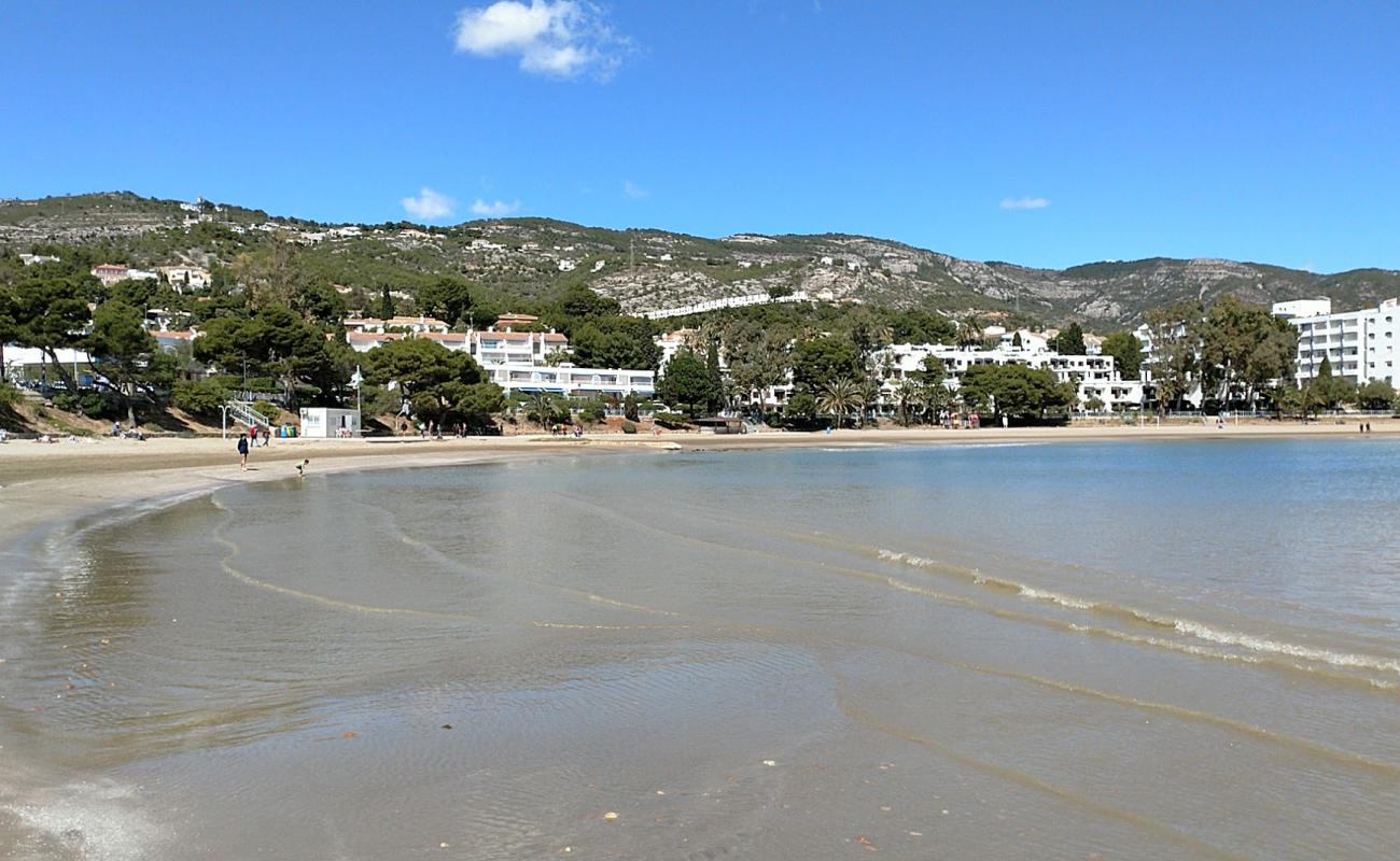 Photo de Platja de les Fonts avec sable brun de surface