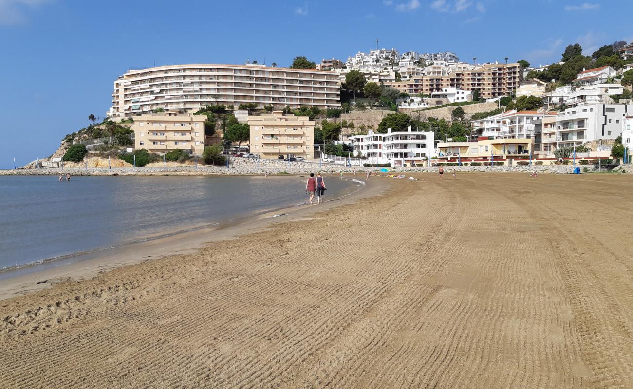 Photo de Platja del Migjorn avec sable brun de surface