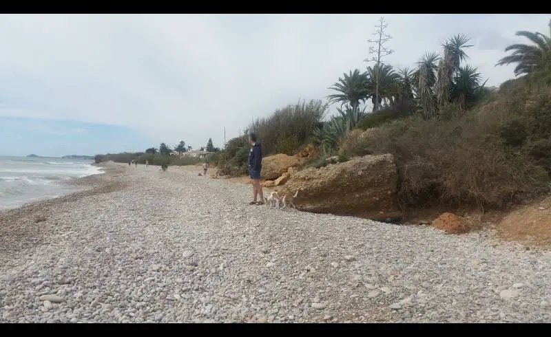 Photo de Canina D'Aiguaoliva avec caillou gris de surface