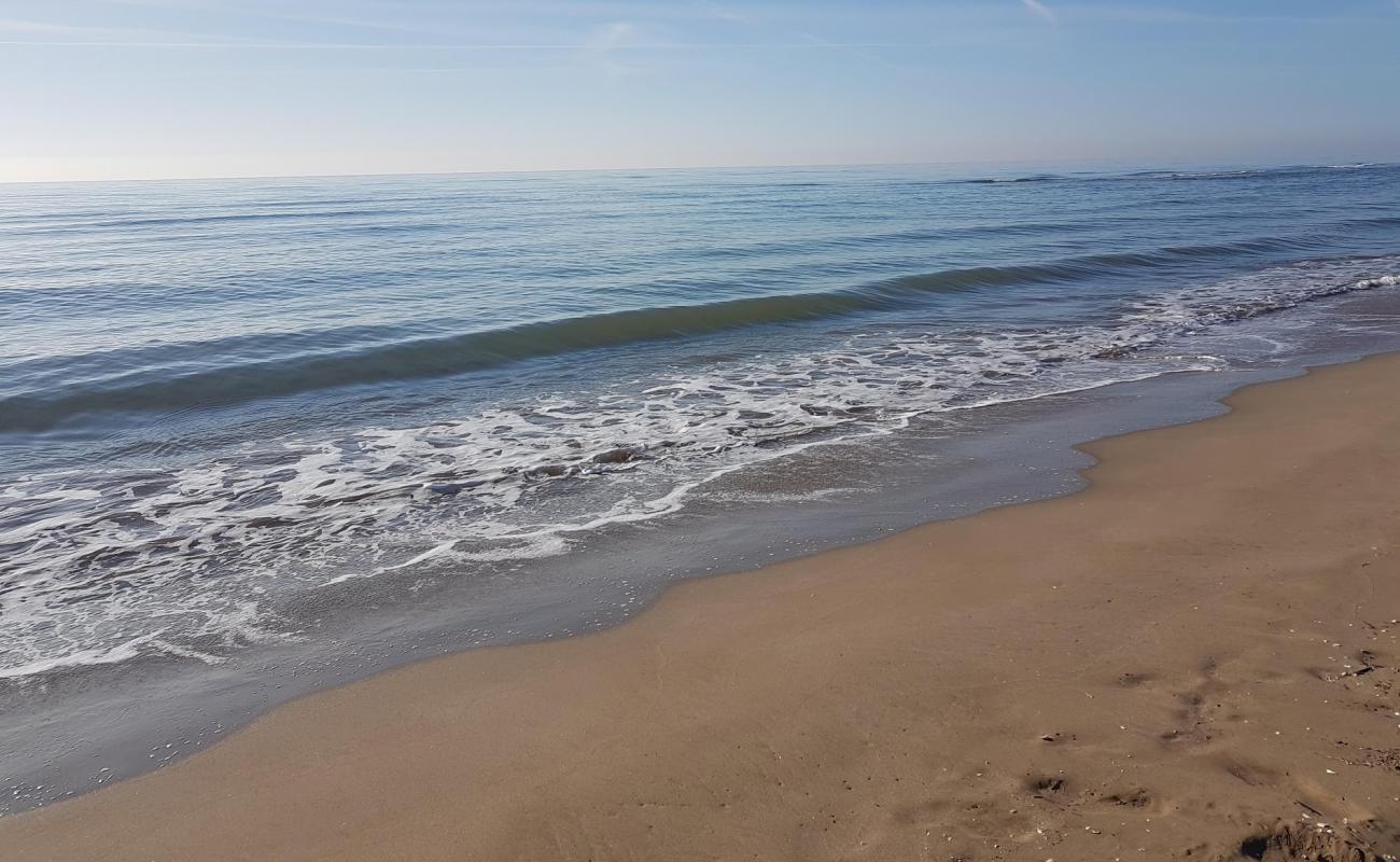 Photo de Platja dels Eucaliptus avec sable brun de surface