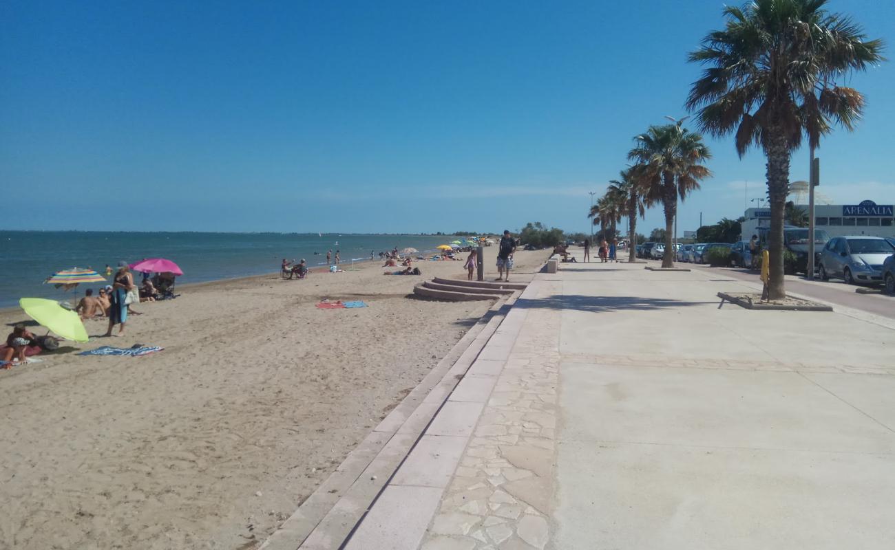 Photo de Platja de l'Arenal avec sable brun de surface
