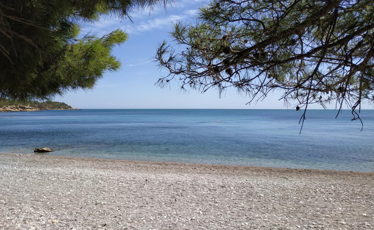 Photo de Platja de l'Aliga avec petits galets bruns de surface