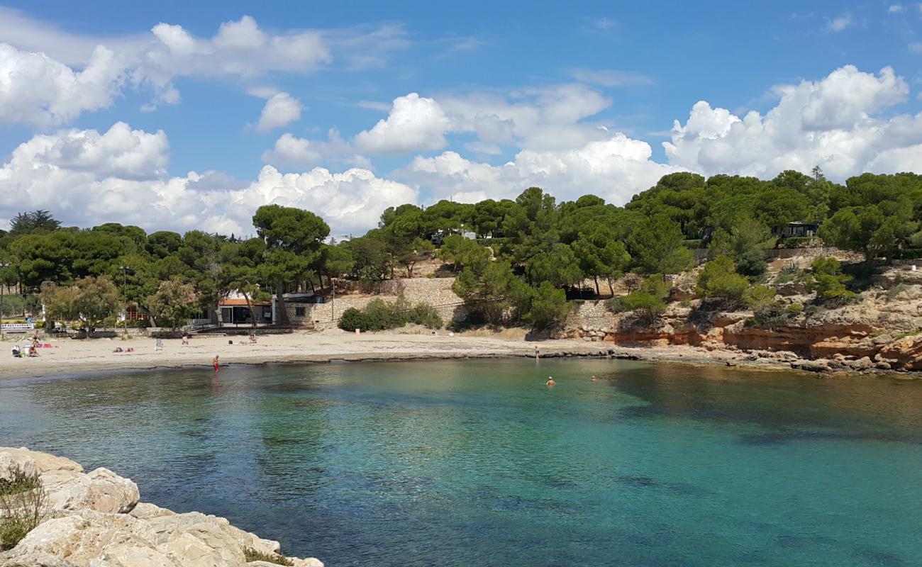 Photo de Cala de Pixavaques avec sable brun de surface