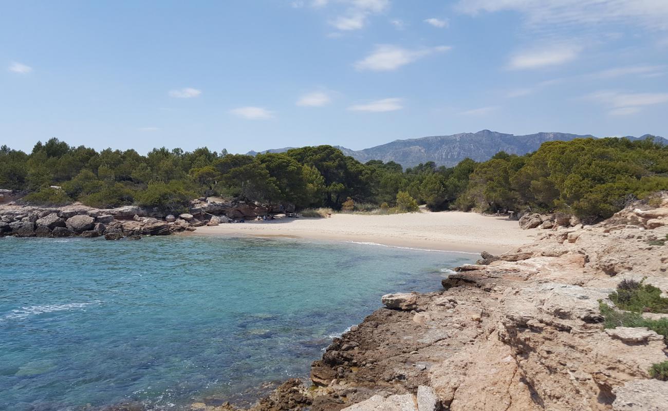 Photo de Cala Lo Ribellet avec sable beige de surface