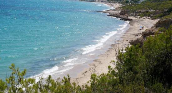 Plage d'Almadrava
