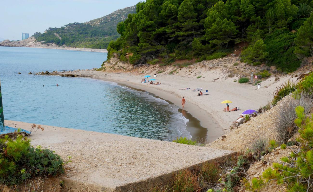 Photo de Platja de Cala d'Oques avec sable beige de surface