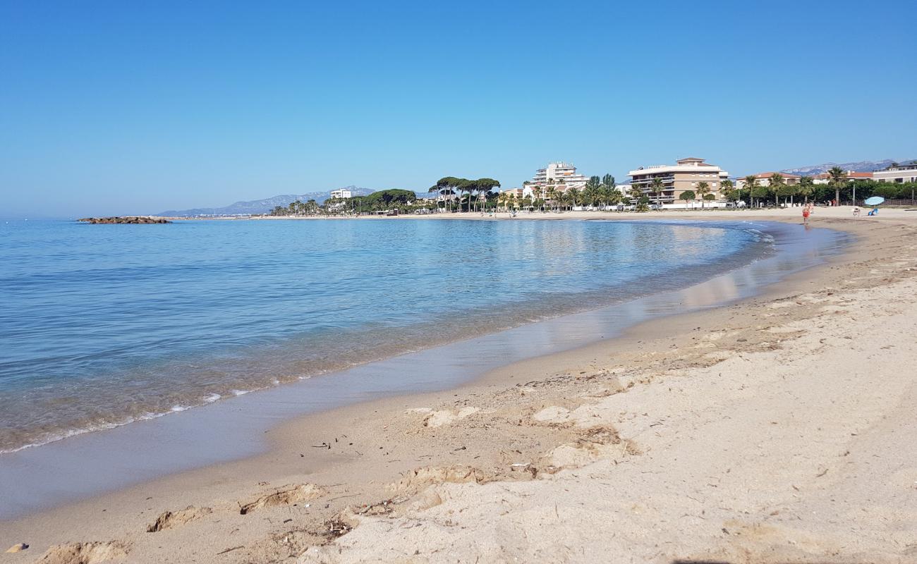 Photo de Platja De l'Ardiaca avec sable gris de surface