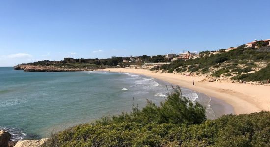 Plage de Savinosa