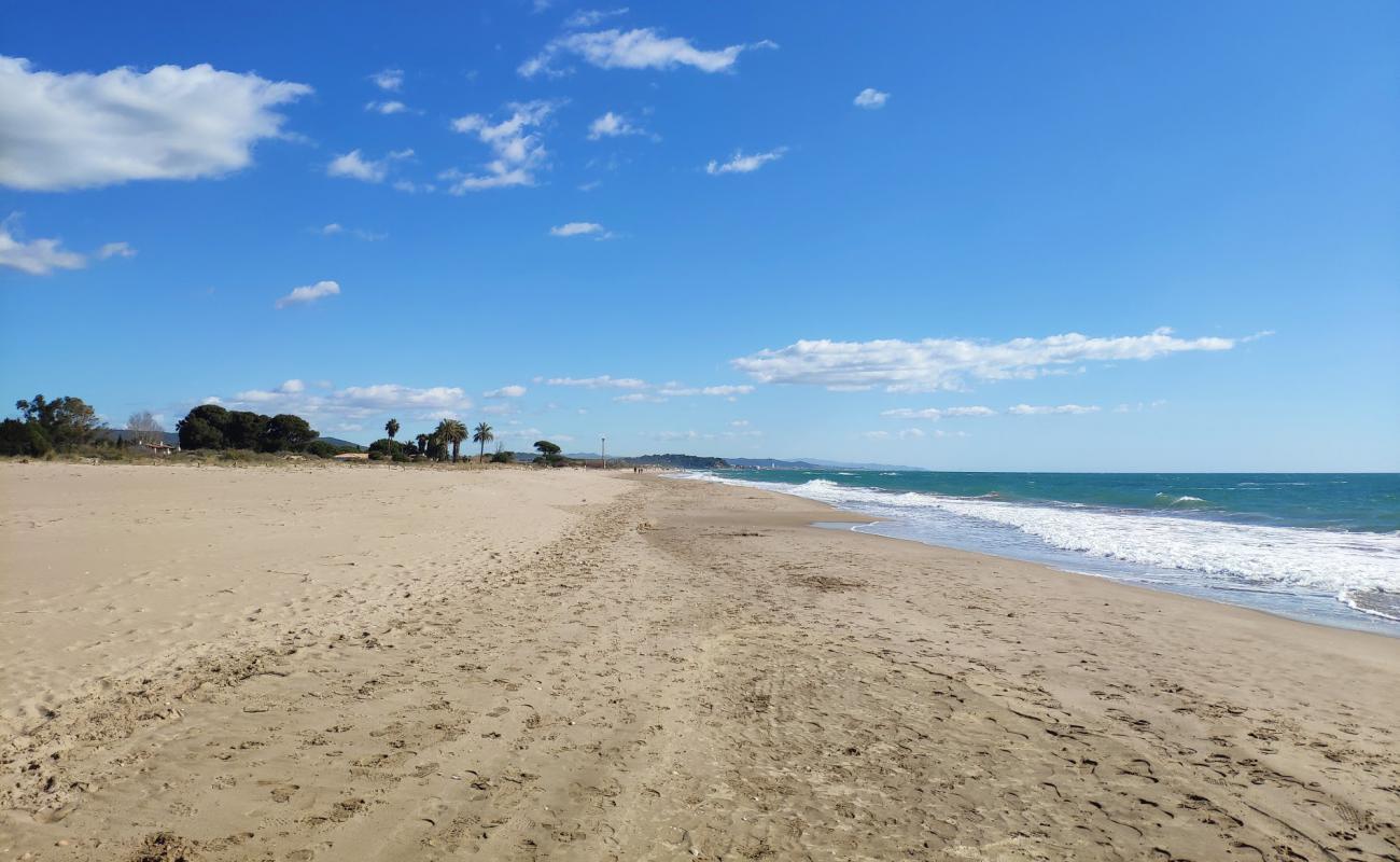 Photo de Playa Torredembarra avec sable brun de surface