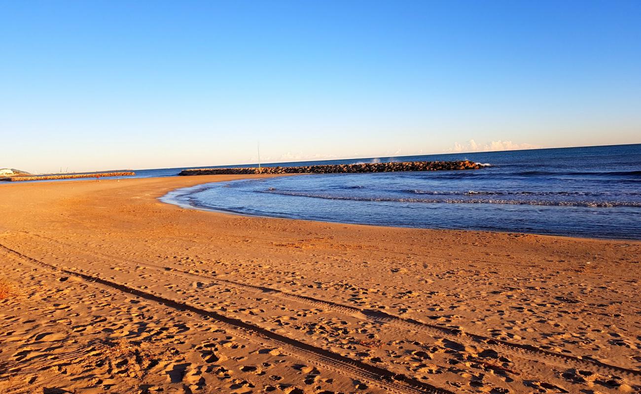 Photo de Platja Ibersol avec sable brun de surface