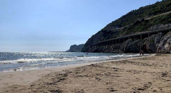 Platja Port Ginesta