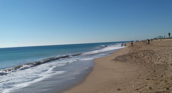 Platja del Prat