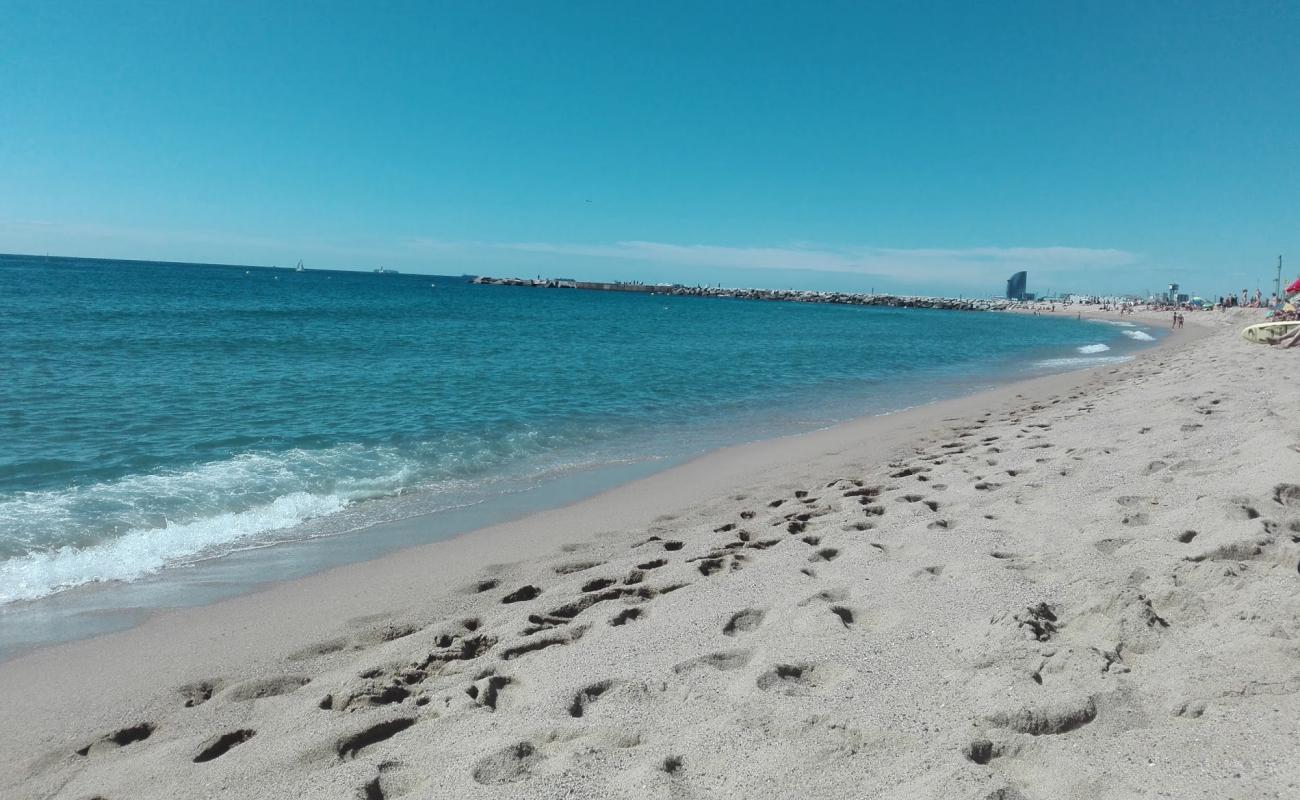 Photo de Platja de la Mar Bella avec sable beige fin de surface