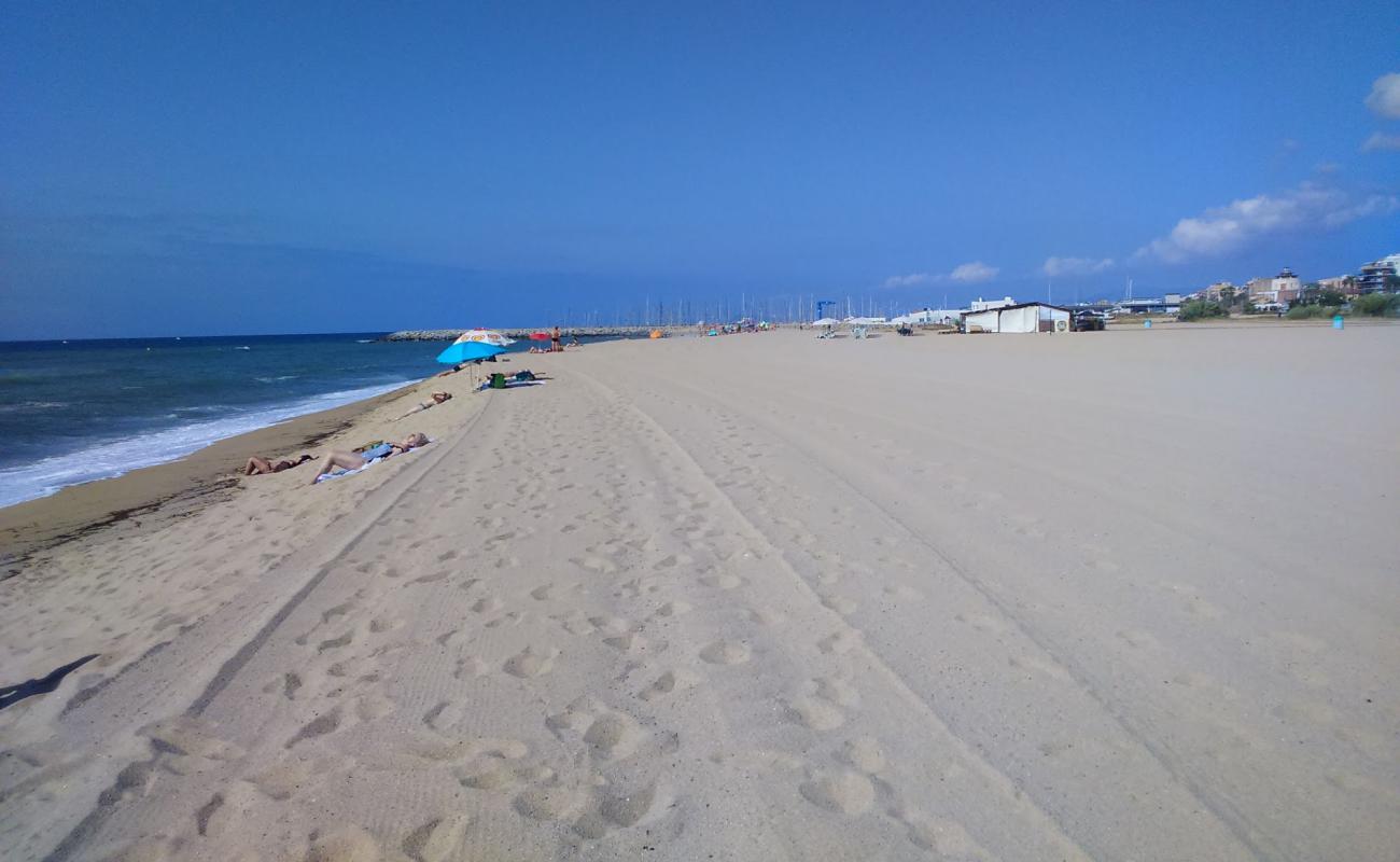 Photo de Playa de Bellamar avec sable beige de surface