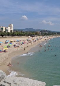 Mataro