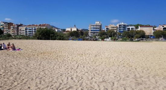 Playa de la Picordia