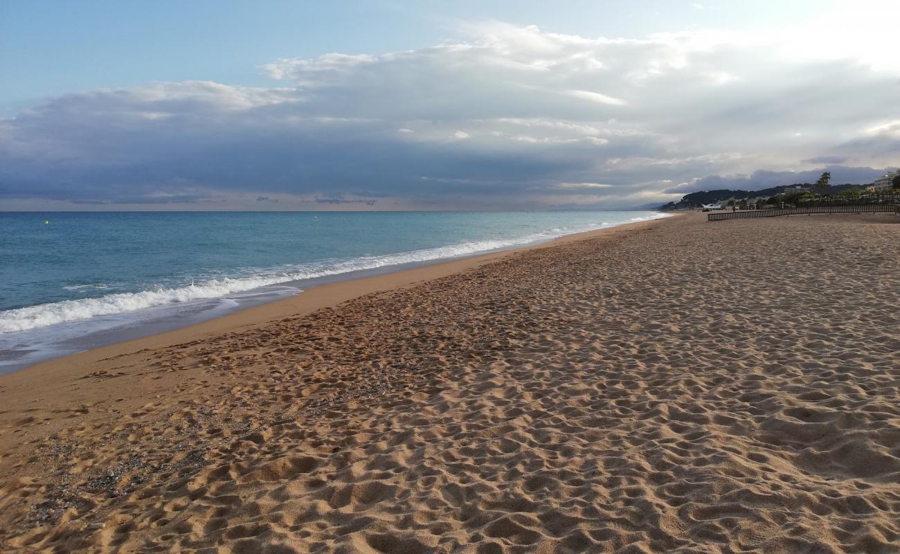 Photo de Platja dels Gossos avec sable beige de surface