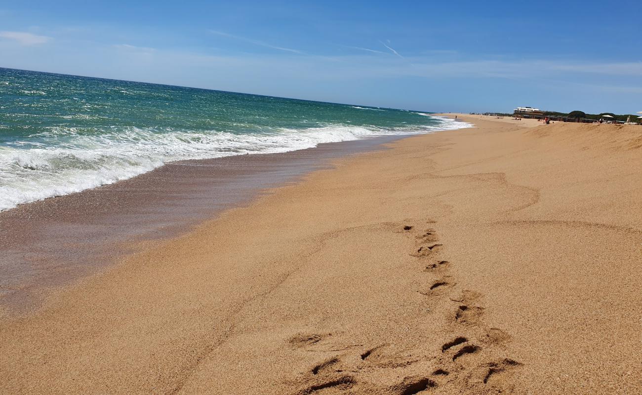 Photo de Platja De Llevant avec sable lumineux de surface