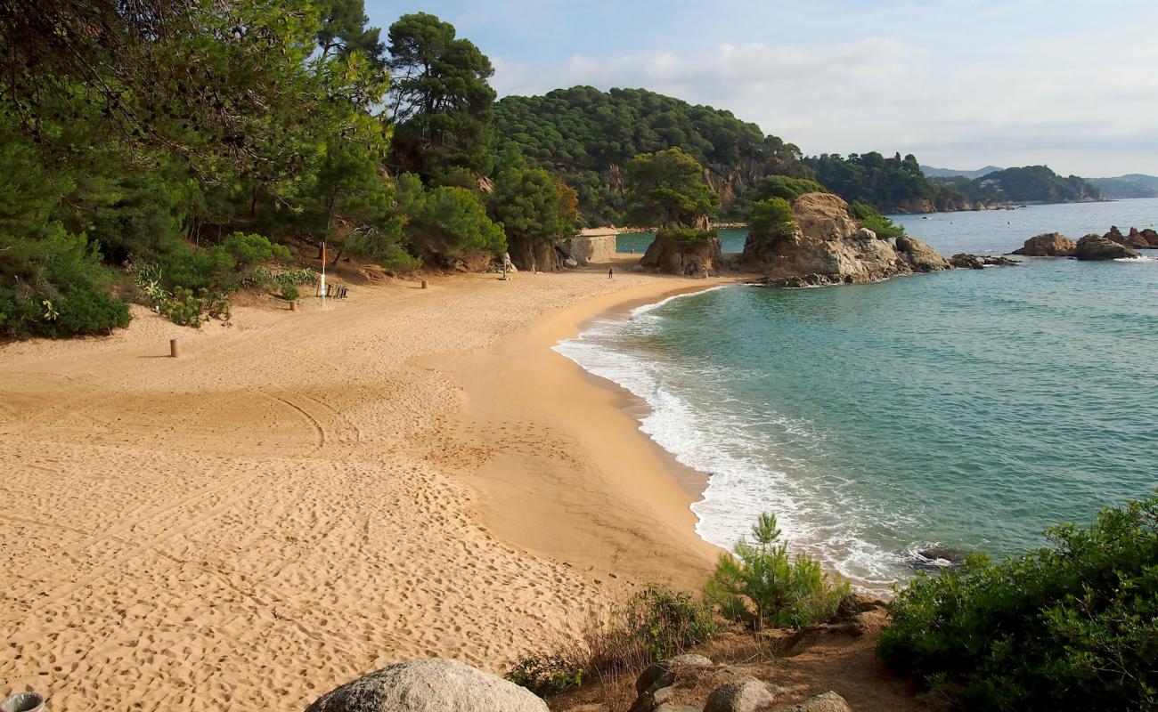 Photo de Plage de Cala Treumal avec sable beige fin de surface