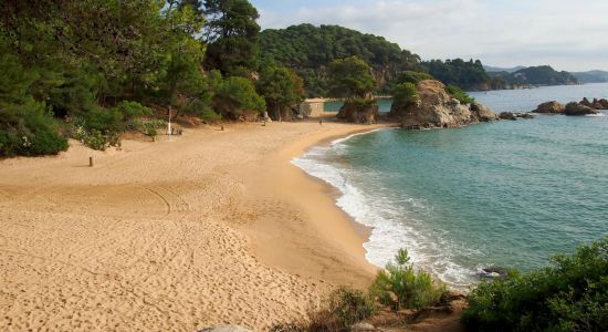 Plage de Cala Treumal